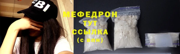 гашик Богданович