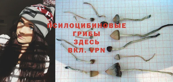 бутик Бородино