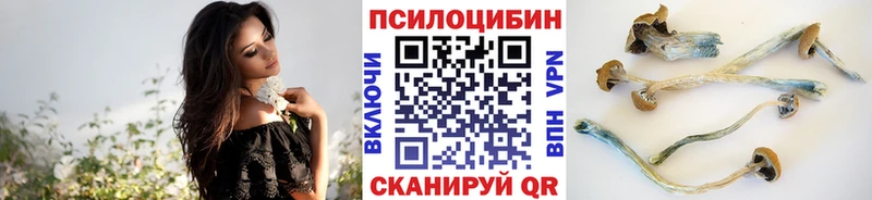 Купить где  Дмитриев  Псилоцибиновые грибы ЛСД 