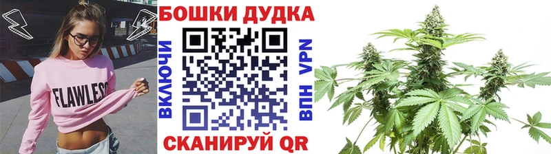Бошки Шишки OG Kush  Купить где  Дмитриев 